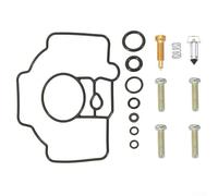 AugustknowU Replacement Carburetor Kit Compatible With Models 2475703 2475703S 24-757-03-S CH18 CH25 CH620 CH740