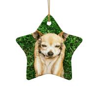 AUGUSTRUSH Ceramic Christmas Ornaments, Chihuahua Dog,Double-Sided Tree Hanging Decor For Xmas Fireplace Party, Festive Holiday Decorative Keepsake Gift Set, Round & Heart Shape