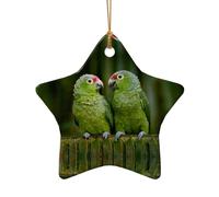 AUGUSTRUSH Ceramic Christmas Ornaments, Two Parrots Green Palm Tree,Double-Sided Tree Hanging Decor For Xmas Fireplace Party, Festive Holiday Decorative Keepsake Gift Set, Round & Heart Shape