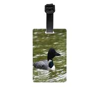 AUGUSTRUSH Durable PVC Luggage Tags for Suitcases, Travel Id Tag Holder for Suitcases Backpacks Golf Bags, Loon Nature Birds, Bag Identifier Tag for Airport Travel Essentials, with Removable Strap
