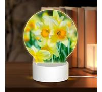 AUGUSTRUSH Round Acrylic Night Light with 3 Lighting Modes, Daffodil Flower, USB Touch Control Led Lamp for Bedroom Decor, Dimmable Table Light for Home Office, Gift Ideas