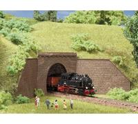 AUHAGEN 44635 N Tunnel mouth and side walls. Single track