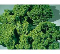 Auhagen 76976 Light Green Medium Foam Flakes