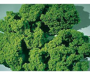 Auhagen 76976 Light Green Medium Foam Flakes