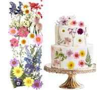 Auiremrti 34 Stück Blumen-Kuchendekorationen, Baby in Bloom, Kuchenaufsätze, gepresste Blumen für Geburtstag, Brautparty, Babyparty, Hochzeitsfeier, Dekoration