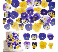 Auiremrti 40 Pieces 8 Types Naturally Dried, Pressed Edible Flowers for Cake Toppers Decoration - Mixed Tricolour Viola for Cocktails, DIY Crafts