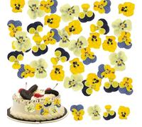 Auiremrti 40 Pieces 8 Types Naturally Dried Pressed Edible Flowers for Decorating Cake Toppers - Mix of Tricolor Viola for Cocktails, DIY Crafts