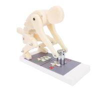 Aumotop Body Bending Weight Lifting Lumbar Spine Demonstration Model, Exceptional Flexibility Posture Model for Gym, Improve Lifting Techniques, Made From Premium ABS