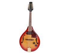Aumotop Electric A Style Mandolin Beautifully Crafted 8 String String Instrument with Cable for Musicians Rosewood Fingerboard