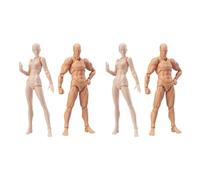 Aundhegrtt 2X Body Doll, Artists Manikin Blockhead Jointed Mannequin Drawing Figures Male+Female Set (Skin Color)