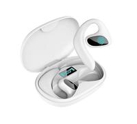 Aundhegrtt AI Powered Wireless Bluetooth Earbuds 144 Language Translator Two-Way Ear-Hanging Headset Device B