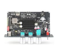 Aundhegrtt Board TPA3116D2 Digital Power Amplifier Module 100W Mono with Built-in Step-Up Voltage Circuit(TW100U), Supports 19V/24V