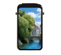 Aundhegrtt -C6 1.47inch Display Development Board 160MHz Single-Core Processor 172x320 262K Color Screen WiFi 6/Bluetooth 5 Support