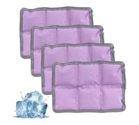 Aundhegrtt Reusables Slim-for Lunch Box Ice Packs(4PCS) for Lunch Boxes Coolers Freezer Packs for Outdoor Activities Including Hiking Camping Fishing Sports