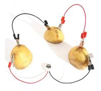 AUNMAS Bio Energy Science Kit, Potato Electricity Experiments Science Toys Children Educational Fun Potato Electricity Experiments Educational Learning Set for Kids