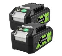 aunstarwei 2 Packs 24V 4.0Ah Replacement Battery for Greenworks 24V Battery 29842 29852 BAG708 BAG711 Compatible with Greenworks 24V Cordless Tools 20352 22232 2508302