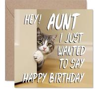 Aunt Birthday Card - Cute Cat Peekaboo - Happy Birthday Card for Aunt from Nephew Niece, 145mm Lovable Kitty Bday Greeting Cards
