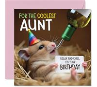 Aunt Birthday Card - Ham-somely - Happy Birthday Card for Aunt from Nephew Niece, 145mm Hamster Bday Greeting Cards