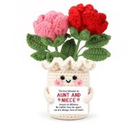 Aunt Niece Gifts for Women Crochet Rose Family Bond Love Keepsake Plant | Handmade Desk Decor with Aunt and Niece Knows No Distance Message, Family Reunion Birthday Gift for Niece from Aunt