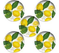 Auntie Morags Lemon Fresh Melamine/Plastic/BBQ/Outdoor Side/Salad Plates Set (5)