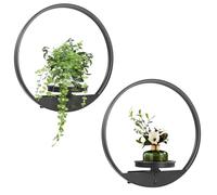 Aunulahca Round Picture Frame Wall Plant Holder Black Wall Hanging Planters Metal Window Plants Shelf Plant for Indoor Outdoor Garden Flat decoration 2 Pack