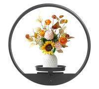 Aunulahca Round Picture Frame Wall Plant Holder Black Wall Hanging Planters Metal Window Plants Shelf Plant for Indoor Outdoor Garden Flat decoration