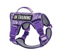 AUNZO Dog Harness for X-Small Dog Breed, Light Pet Vest Harness with 2 Leash Clips and 3 Buckles, Easy to Wear, Adjustable Reflective Soft Padded, Boston Terrier, Beagle, Poodles, XS
