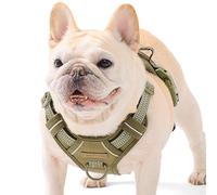 AUNZO No-Pull Adjustable Dog Harness for Small Dogs, Easy Control with Handle, Havanese Chihuahua Puggle, Inescapable, Ez Walking, with Safe Reflective Strips, No Rub, No Choke, Army Green, S