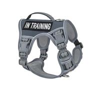 AUNZO - No Pull Dog Harness for Small Dog Breeds Anti Escape Easy Walking Reflective Adjustable Lightweight with Breathable Oxford Material, Easy to Put on and Take Off with Buckle