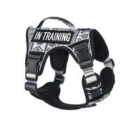AUNZO - No Pull Dog Harness for Small Dog Breeds Anti Escape Easy Walking Reflective Adjustable Lightweight with Breathable Oxford Material, Easy to Put on and Take Off with Buckle