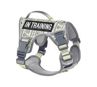 AUNZO - No Pull Dog Harness for Small Dog Breeds Anti Escape Easy Walking Reflective Adjustable Lightweight with Breathable Oxford Material, Easy to Put on and Take Off with Buckle