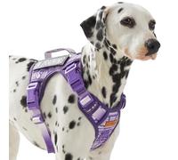 AUNZO Service Dog Vest Harness with 2 Velcro Patches, No Pull Dog Harness for Walking Training Hiking, Metal D-Rings Easy on/Off Neck Buckle Reflective Strips Soft Padded Handle, Purple