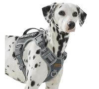 AUNZO Service Dog Vest Harness with 2 Velcro Patches, No Pull Dog Harness for Walking Training Hiking, Metal D-Rings Easy on/Off Neck Buckle Reflective Strips Soft Padded Handle, Gray