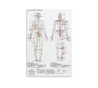 AUOQKQUT Acupuncture Points and Five Elements Theory Meridian System Chart Poster Wall-Art for Clinic Office Decor Framed,08x12inch(20x30cm)