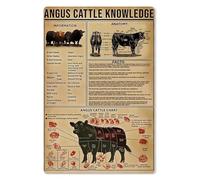 AUOQKQUT Agriculture Student's Guide to Angus Cattle | Informational Poster on History, Qualities & Ideal Structure | Laminated Chart for Classroom or Dorm Study Framed,16x24inch(40x60cm)