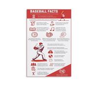 AUOQKQUT Baseball Statistics Cheat Sheet Poster, MLB Records Wall Chart, Sports Fan Gift for Men, Laminated Educational Sports Decor Framed,08x12inch(20x30cm)