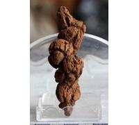 AUOQKQUT Coprolite or Dinosaur Poopies Poop Feces Poo Dung Large home decoration