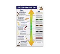 AUOQKQUT Digestive System Educational Poster - Gastrointestinal Health Chart, Anatomy Wall Art for Classroom, Clinic or Home Study Unframed,16x24inch(40x60cm)