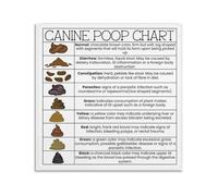 AUOQKQUT Dog Poop Chart Poster Canine Stool Health Guide for Pet Owners to Identify Digestive Issues Veterinary Clinic Home Wall-Art Decor Unframed,12X18inch(30X45cm)