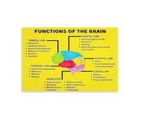 AUOQKQUT Left Brain vs Right Brain Canvas Art, Creative and Logical Thinking for Office Wall Decor, Neuroscience Inspired Print for Home Library or Bedroom Unframed,16x24inch(40x60cm)