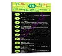 AUOQKQUT Pet Health Poster Most Common Dog Cat Parasites Veterinary Reference Chart Wall-Art for Clinic and Home Study Unframed,16x24inch(40x60cm)