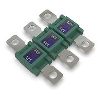 AUPROTEC MEGA High current fuse Bolt-on fuses: 125 amp green, 3 pcs