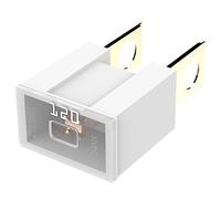 AUPROTEC PAL B Auto Link Fuses Slow Blow male OTO BT pacific fuse: 120 amp white, 1 pc