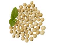 AURA MART Natural Original White Gunja Ratti Chirmi Bead Abrus Precatorius Jequirity Rosary Pea Jaapmala Making Beads for Meditation & Pooja Astrology Organic Jewellery - 51 Beads