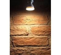 Auraglow Fir Recessed Ceiling Downlight Fitting & Super Bright 7W Led Warm White Gu10 Light Bulb - Chrome - 8 Pack