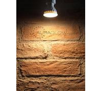 Auraglow Gu10 Fire Rated Downlight Fitting & 7W Warm White Light Bulb - Chrome