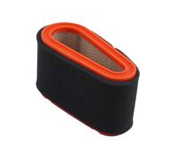 Auratrove Air Filter, Compatible with for castelgarden for mountfield GGP 7500 7750 Engines, Replacement for Part Number 118550199/0