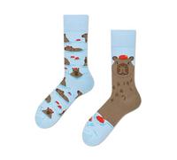 Aurelx Cute Capybara Socks, Soft Comfortable Animal Socks for Women's Day Mothers Day Easter Valentines Birthday, Personalised Capybara Gifts for Women Girls