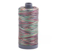 Aurifil 28wt Mako Cotton Variegated Thread (820yds), Marrakesh - 3817