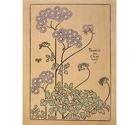 Auriol Theatre Chat Noir Program Cover Flowers Large Wall Art Print Canvas Premium Mural